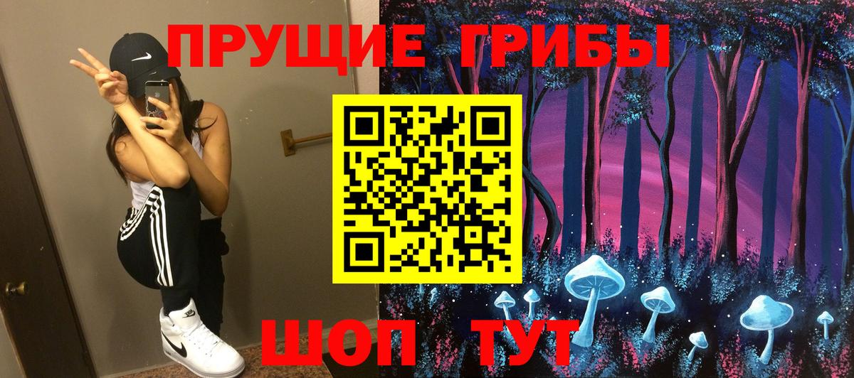 Псилоцибиновые грибы Cubensis Северск