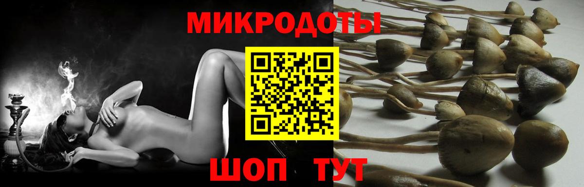 Северск  Псилоцибиновые грибы мицелий  Вход с VPN  Псилоцибиновые грибы мицелий 