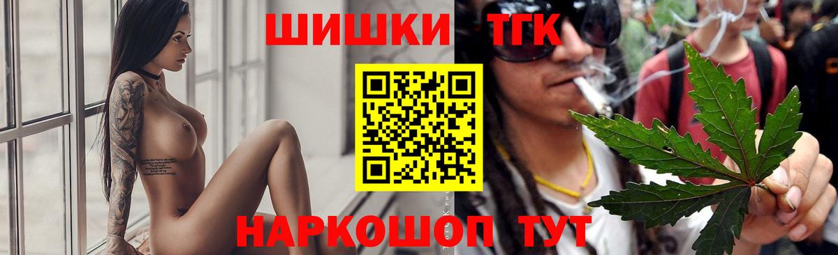 Канабис сатива Северск